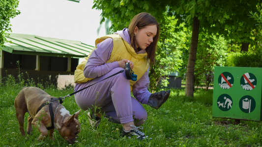 THE HIDDEN DANGERS OF PLASTIC POOP BAGS & WHY YOU SHOULD GO BIODEGRADABLE