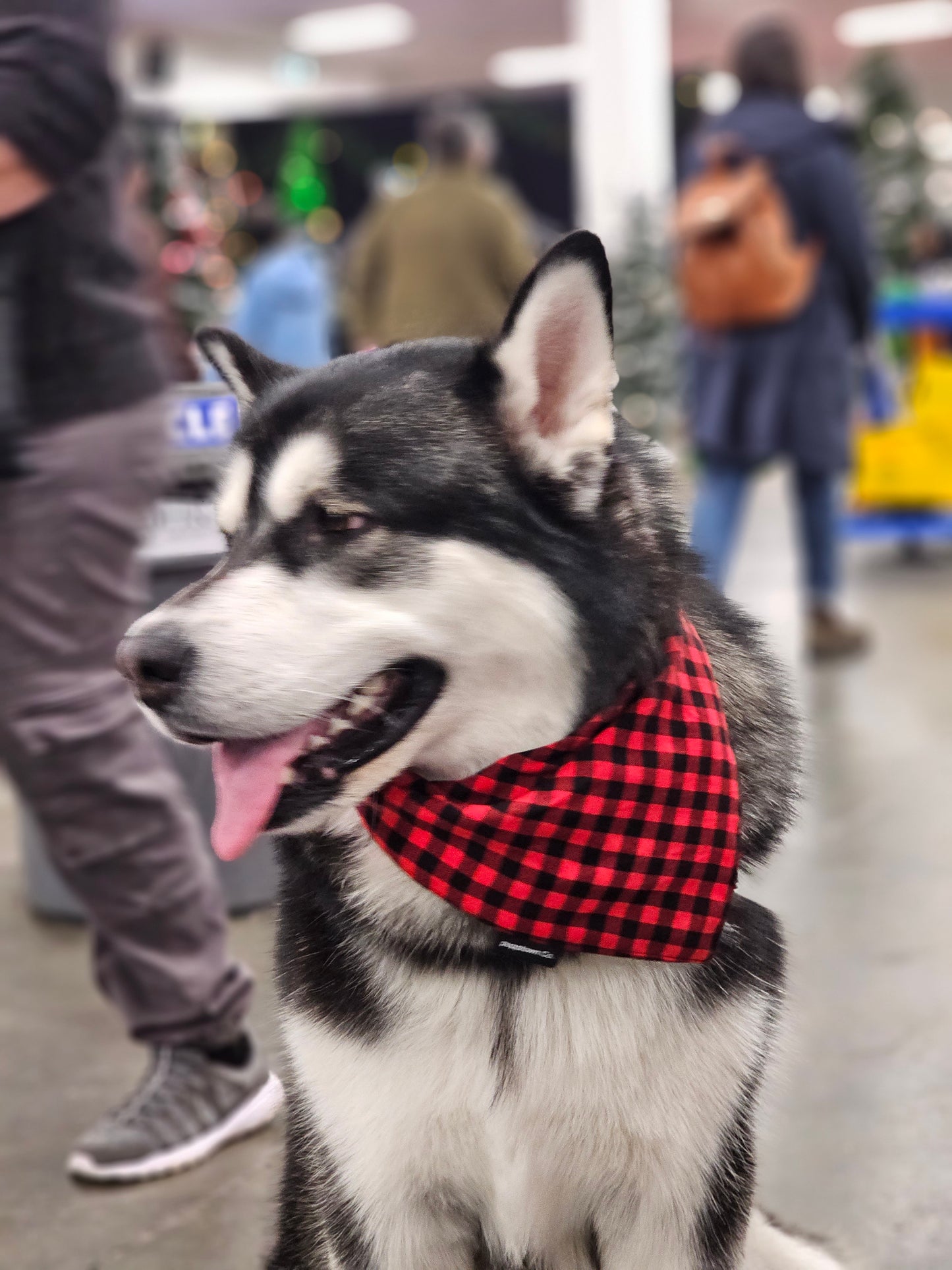 Red Plaid Satin bandana