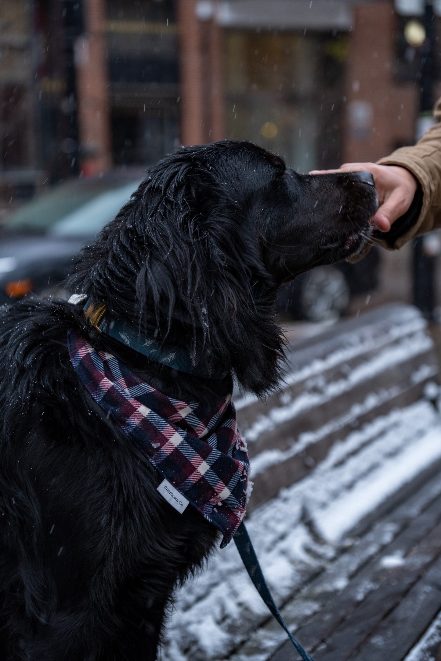 Winterberry Plaid Flannel Bandana for Dogs & Cats