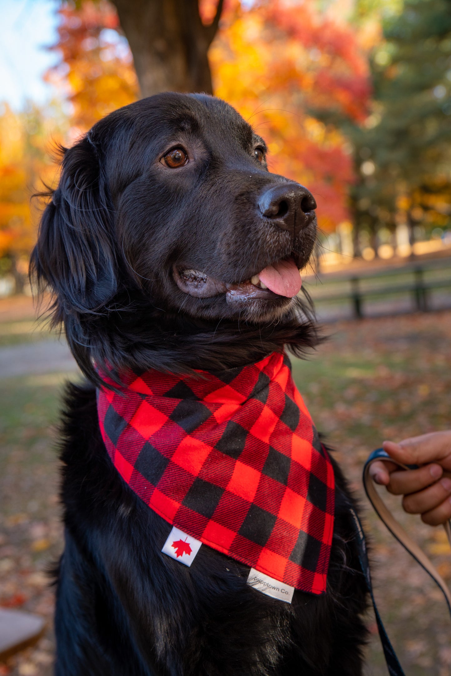 Red Buffalo Plaid Reversible Flannel Pet Bandana with Snaps