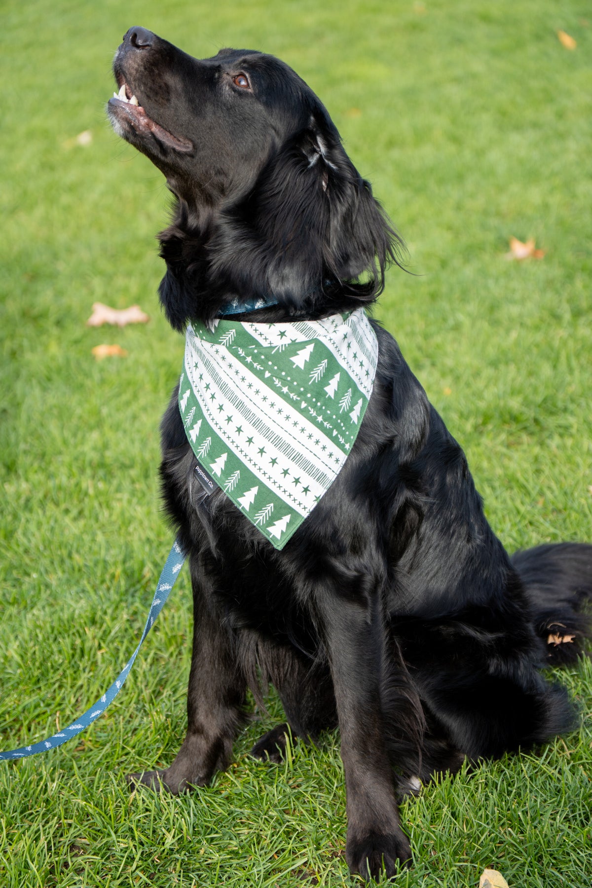 Christmas Stripes Bandana with Snaps for Dogs & Cats