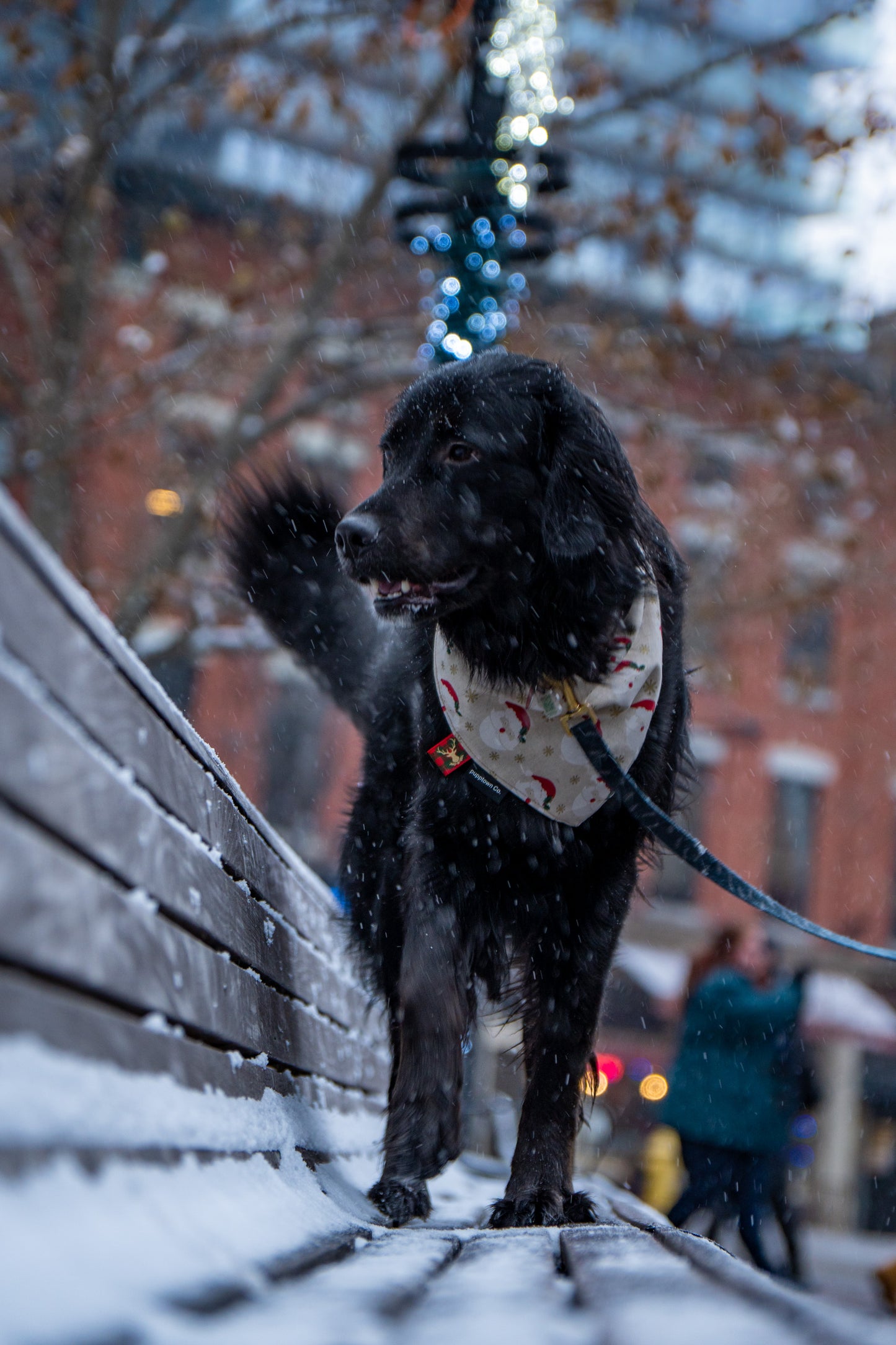 Santa’s Secret Reversible Christmas Bandana for Dogs & Cats