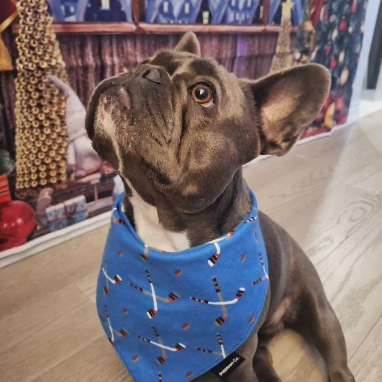 Ice Hockey Pet Bandana with Snaps