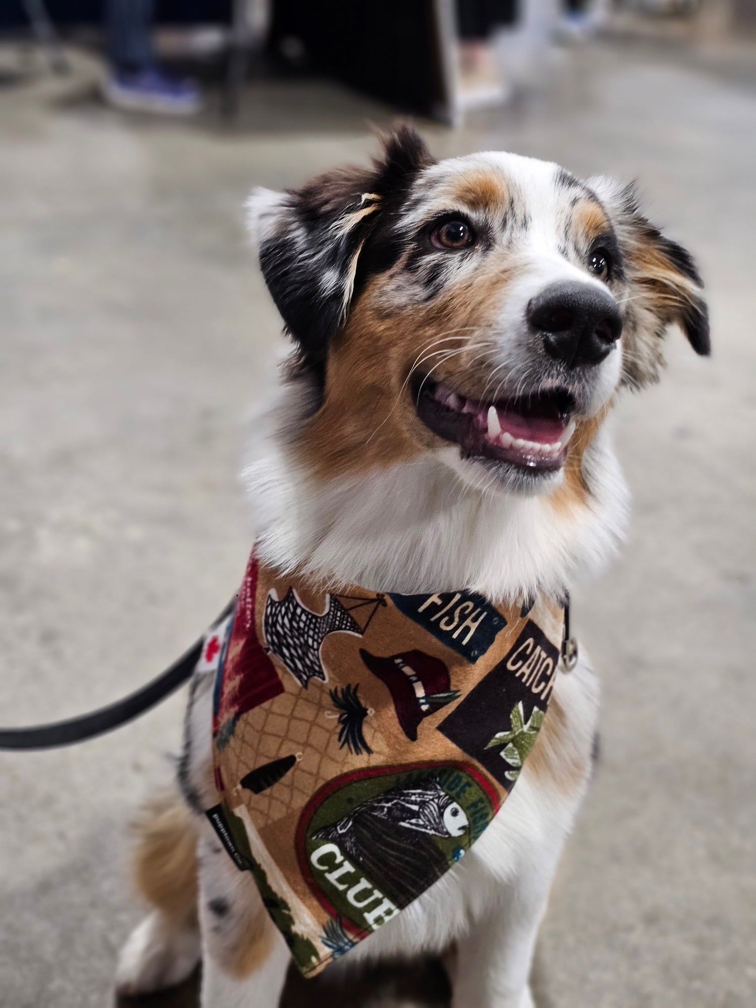 Bandanas