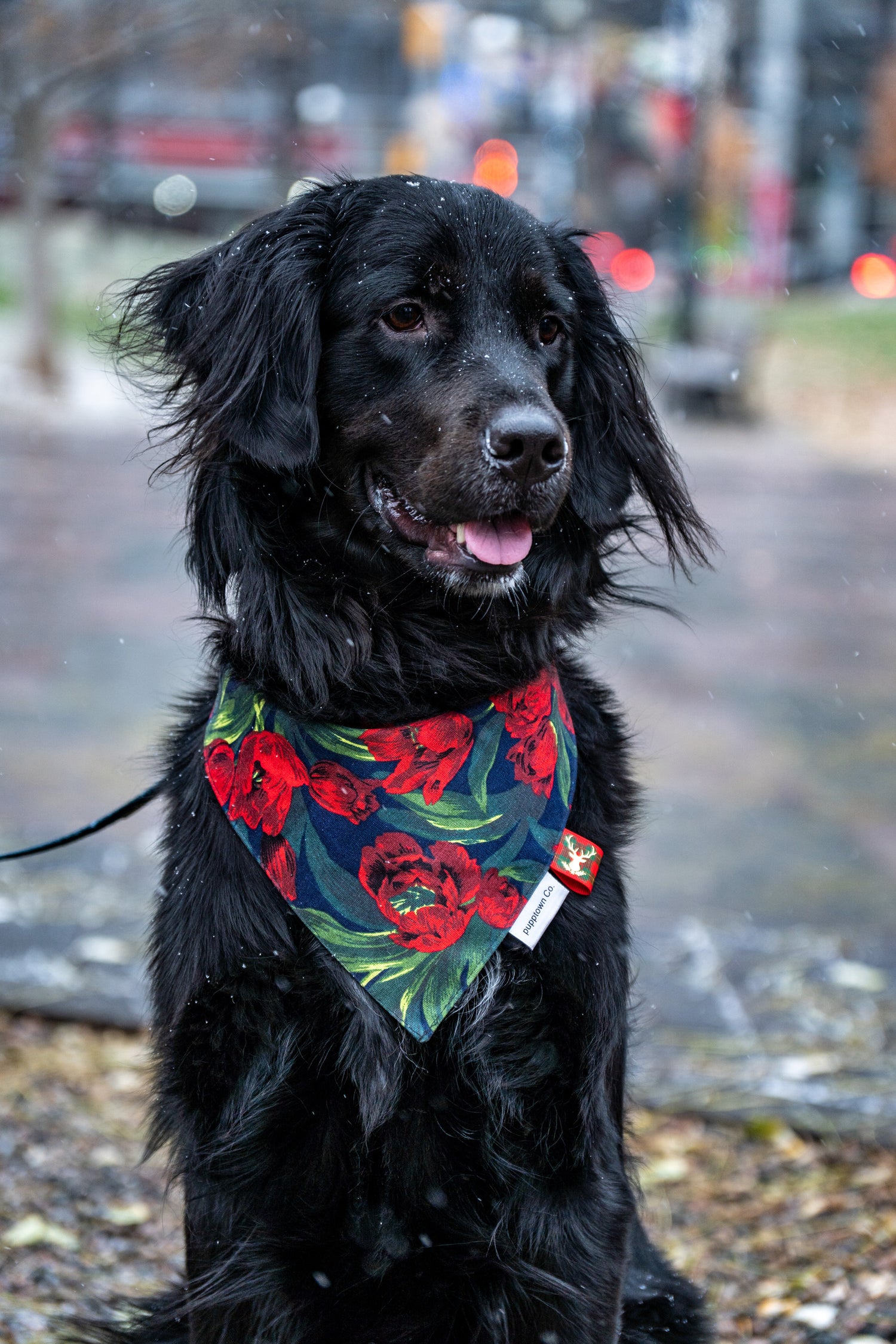 Christmas collection 🎄