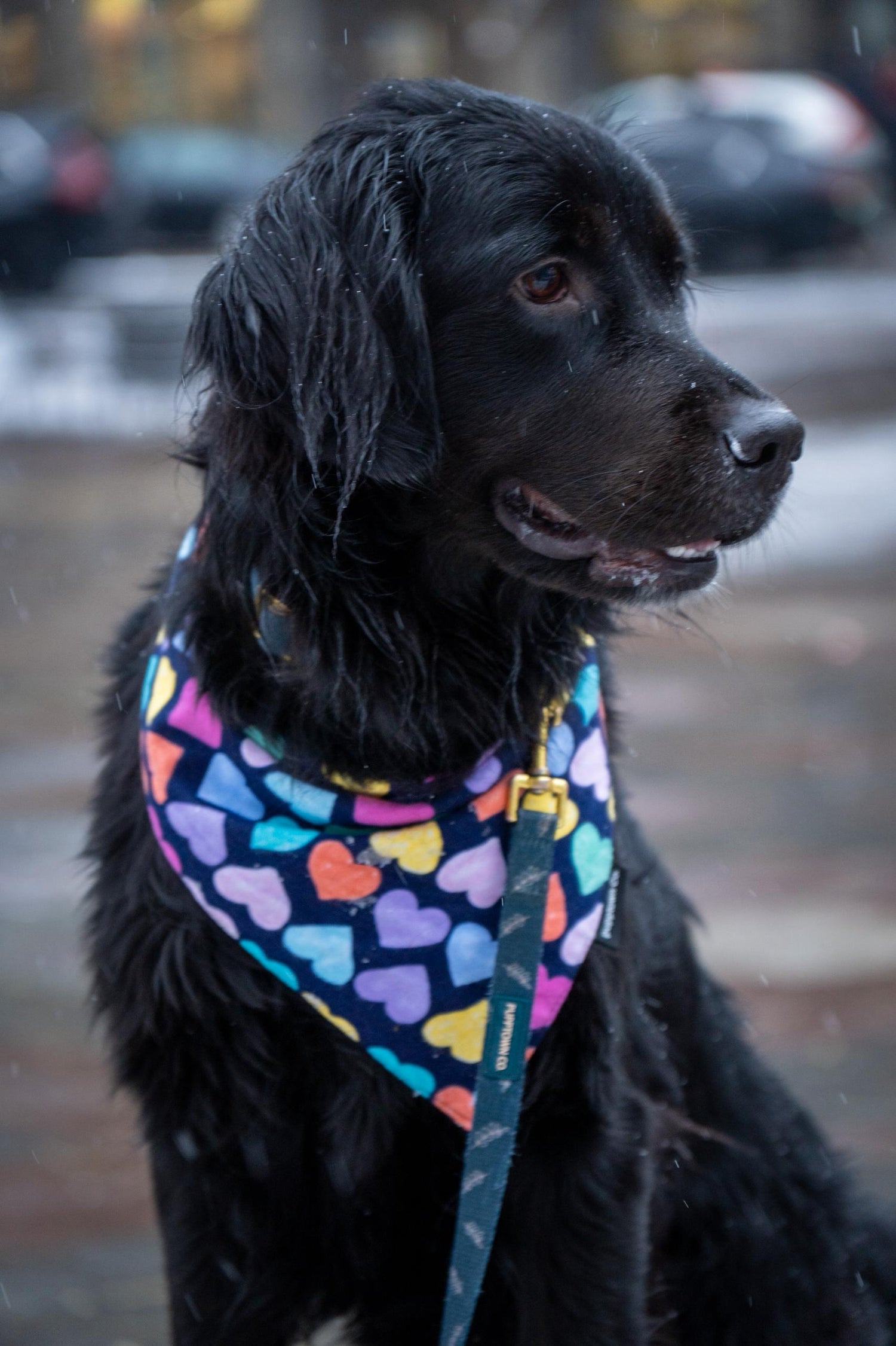 Lovey-dovey collection