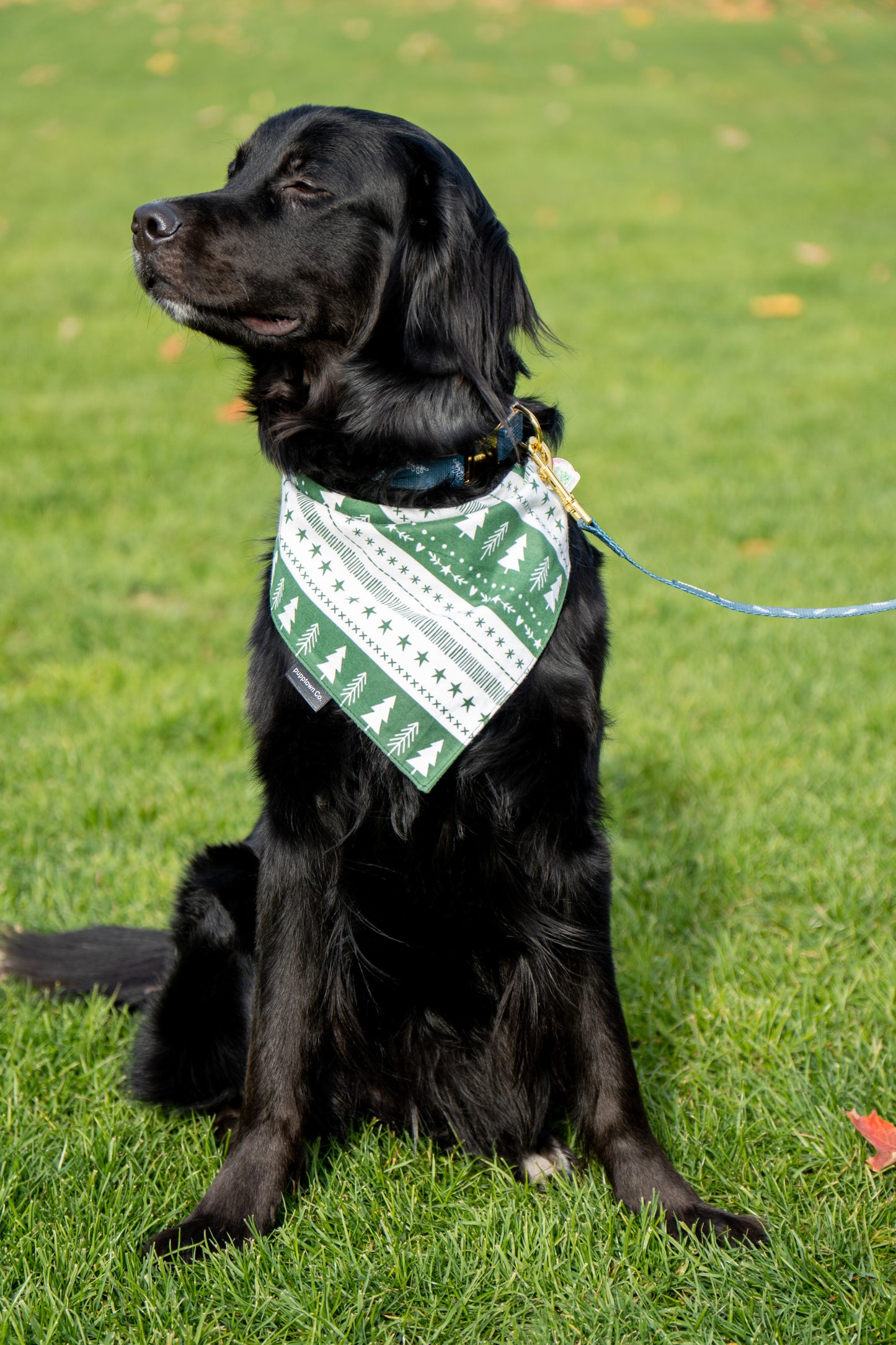 Christmas stripes Bandana for Dogs & Cats .