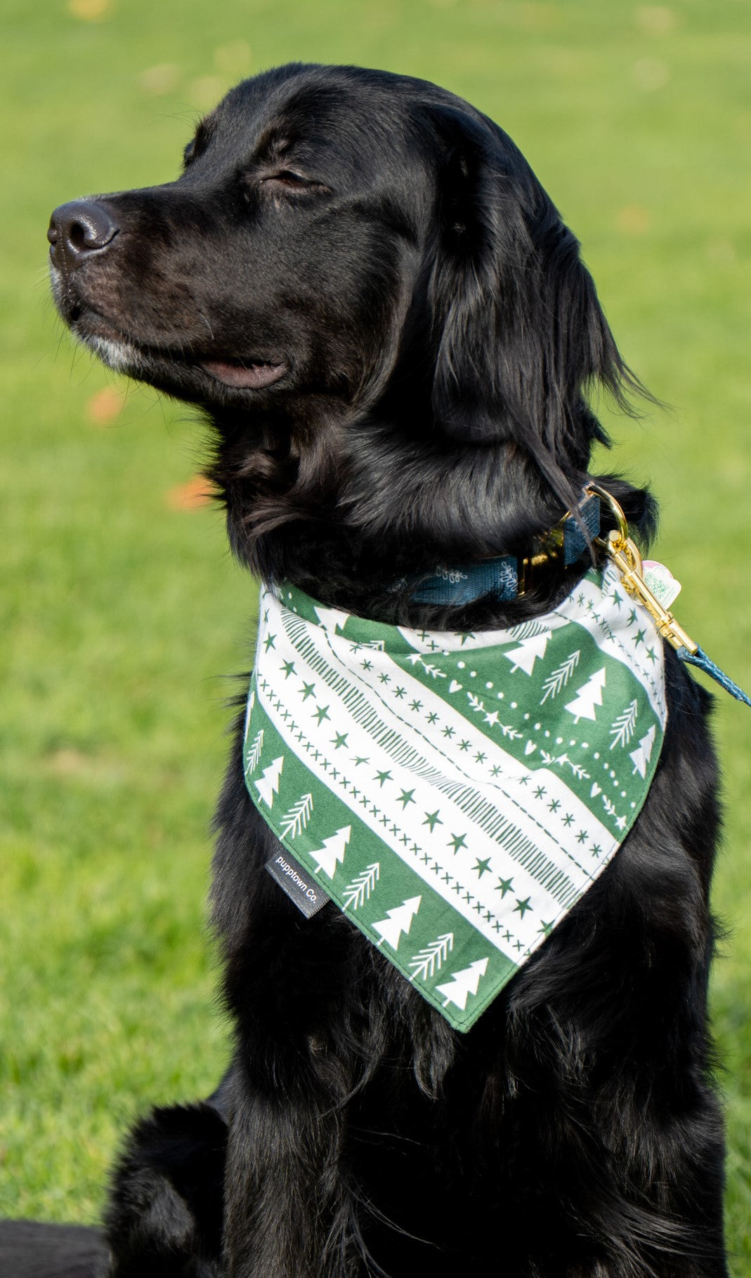 Christmas stripes Bandana for Dogs & Cats .