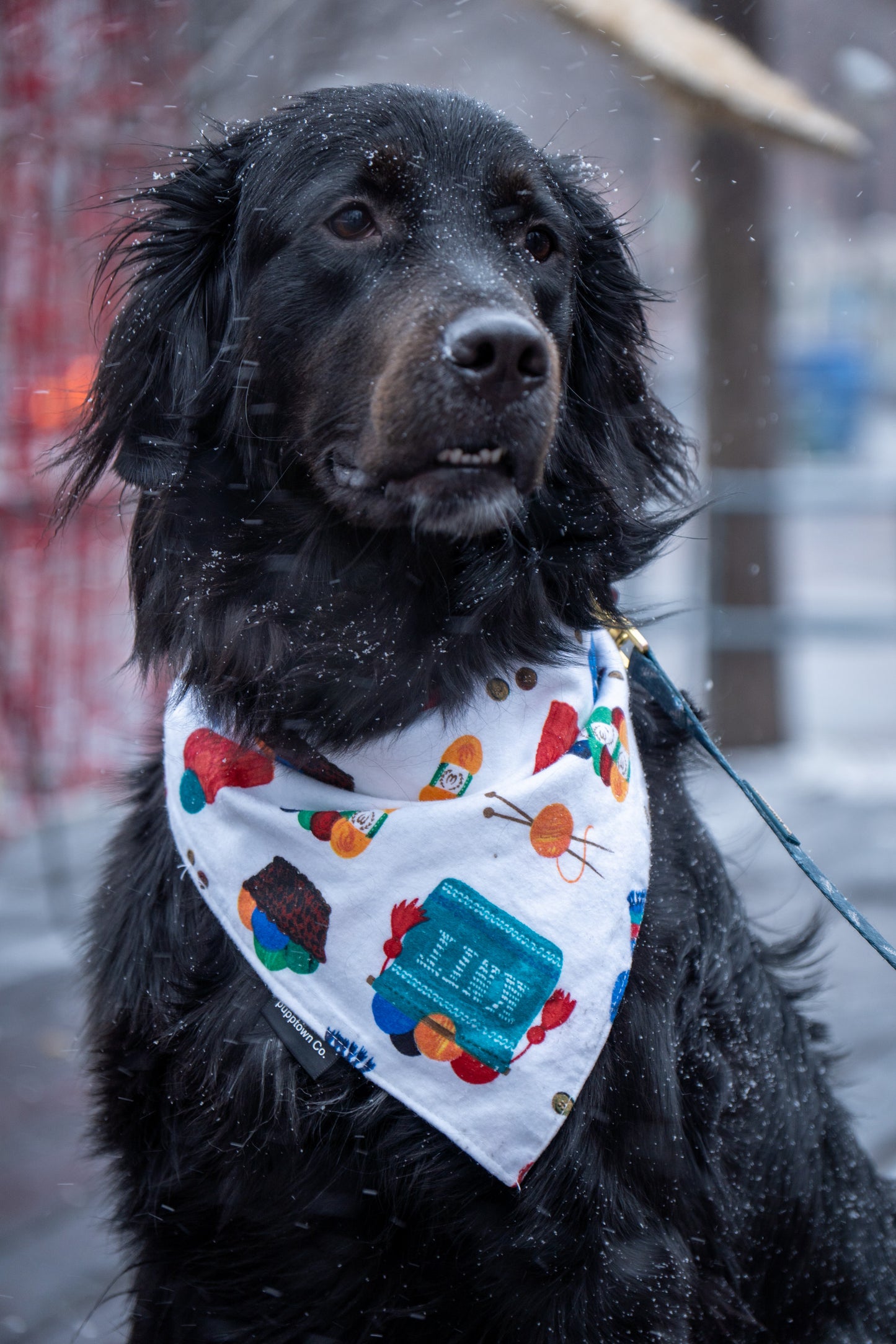 Joy Ride Christmas Bandana for Dogs & Cats