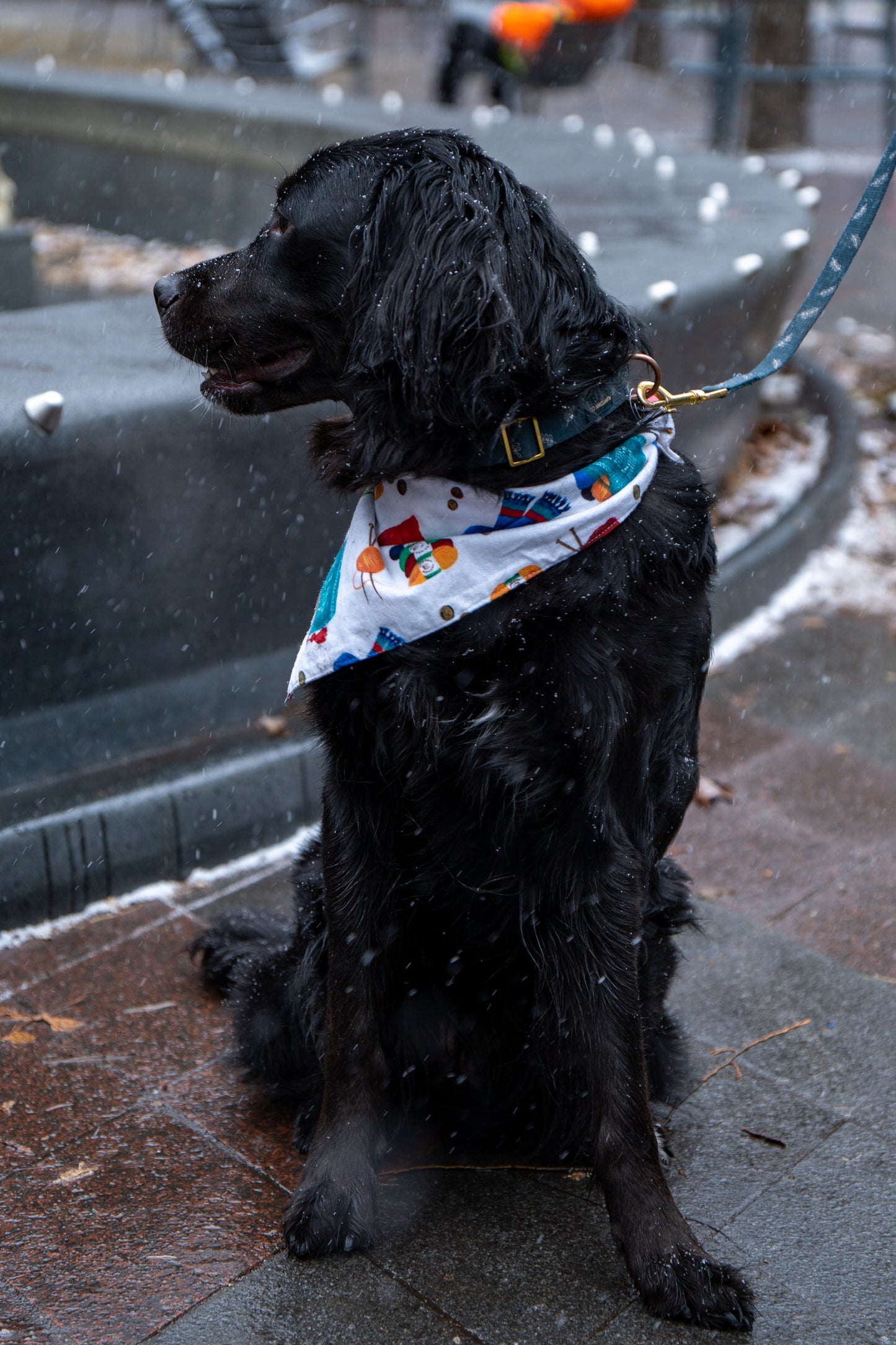Joy Ride Christmas Bandana for Dogs & Cats