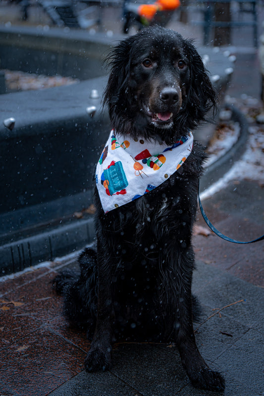 Joy Ride Christmas Bandana for Dogs & Cats