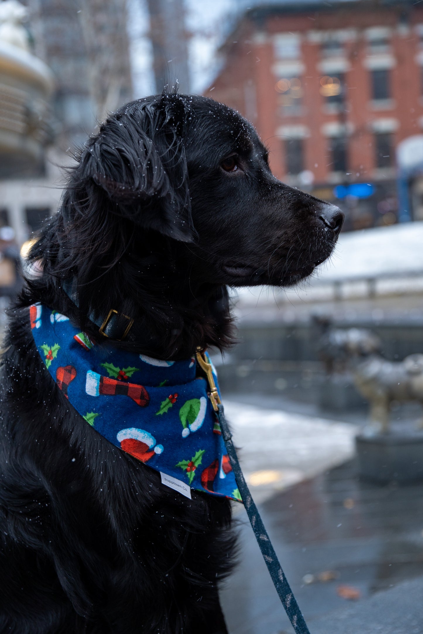 Merry Mistletoe Christmas Bandana for Dogs & Cats