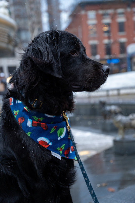 Merry Mistletoe Christmas Bandana for Dogs & Cats