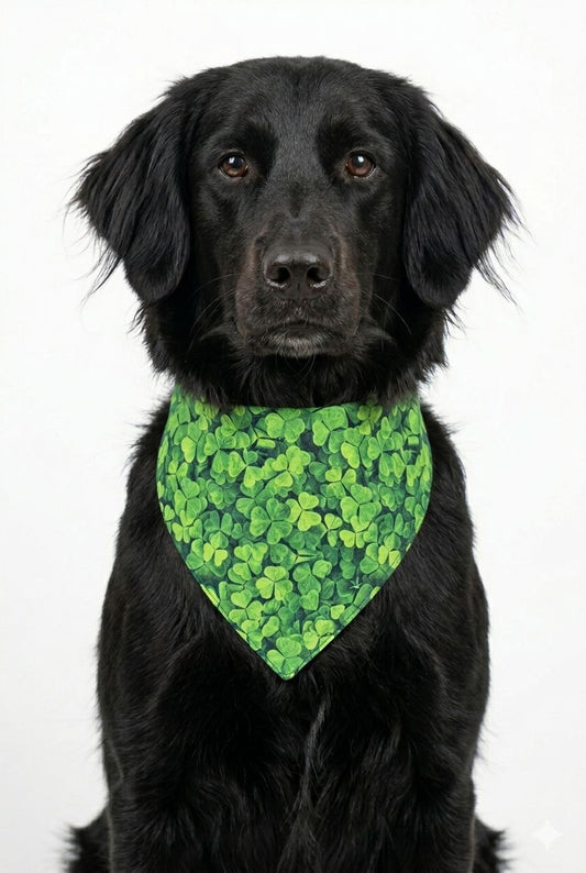 🍀 Emerald Clover St. Patrick’s Dog Bandana