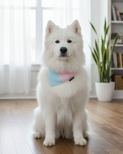 Pastel Patchwork Felt Dog Bandana