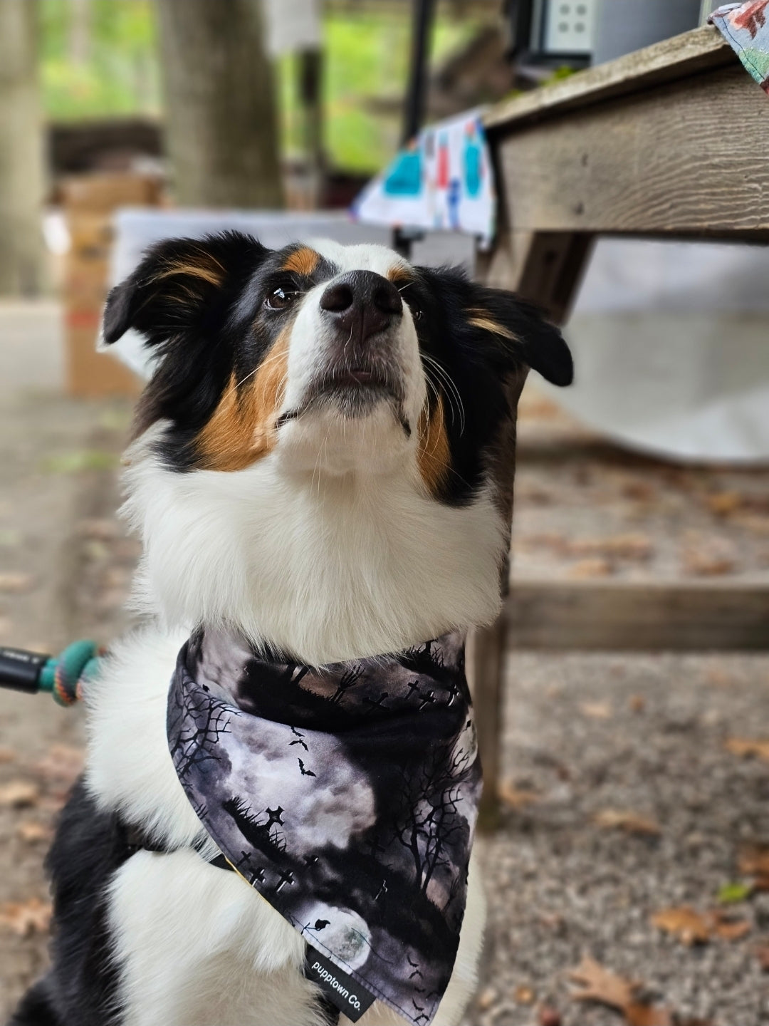 Scary Cemetry bandana with snaps