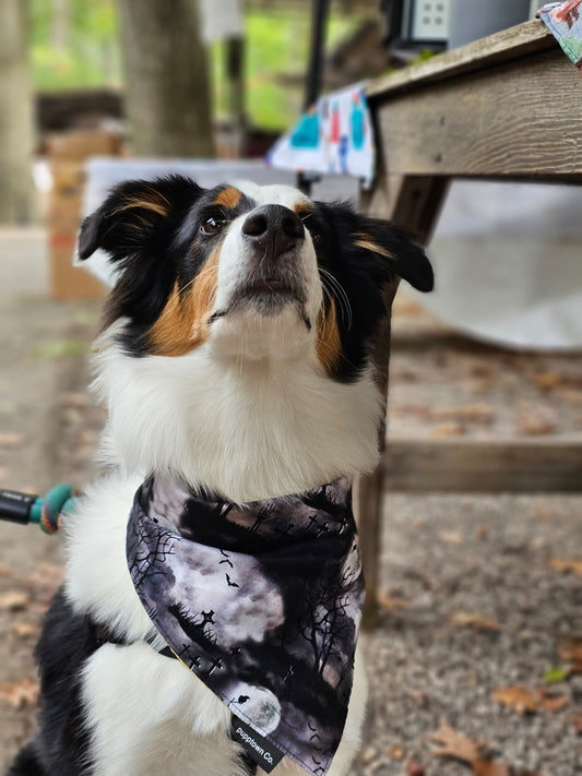 Scary Cemetry bandana with snaps