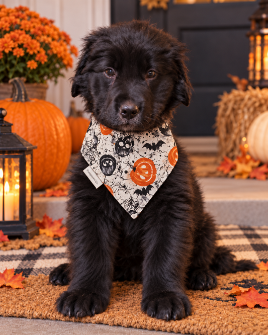 Ghostly Glow Reversible Halloween Pet Bandana with Snaps