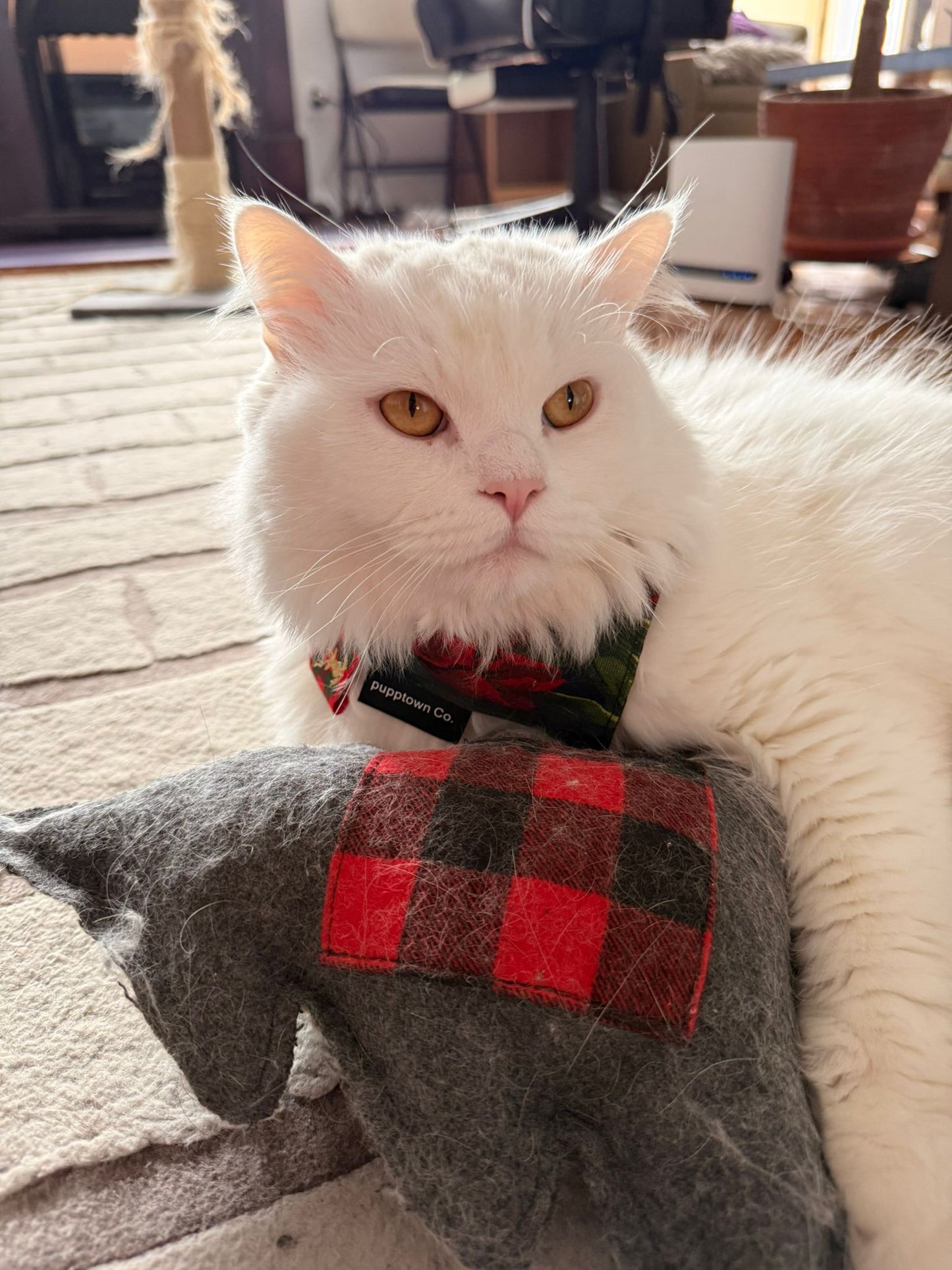 Christmas Tree Catnip Pillow Toy