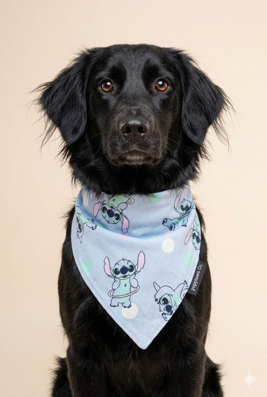 Cosmic Cuddle Flannel Dog Bandana