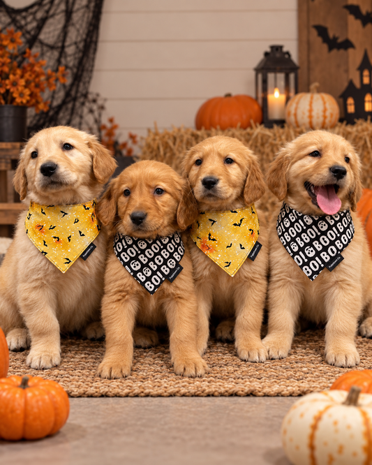 Boo-tiful Reversible Halloween Dog Bandana with Snaps