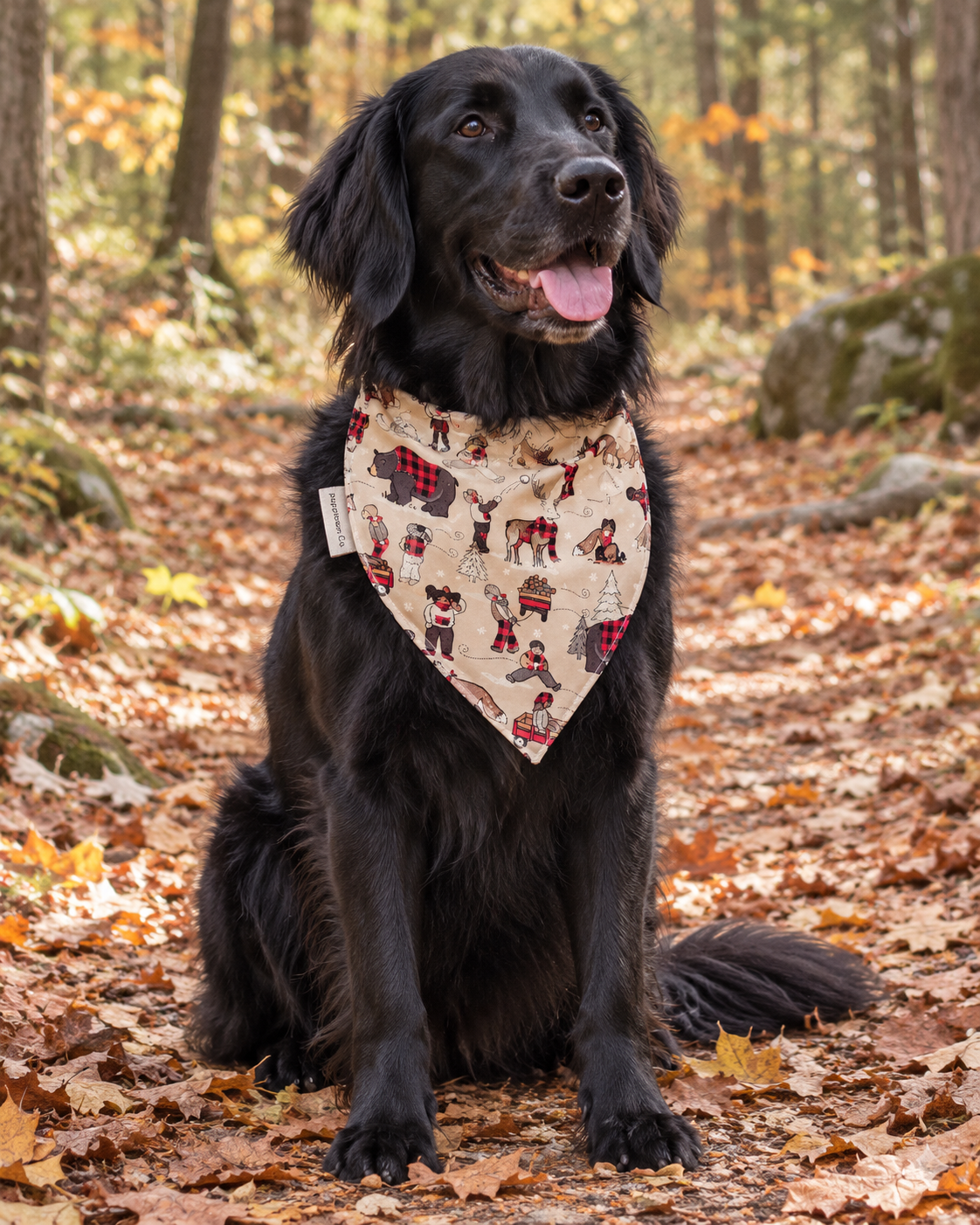 Reindeer Romp Pet Bandana with Snaps
