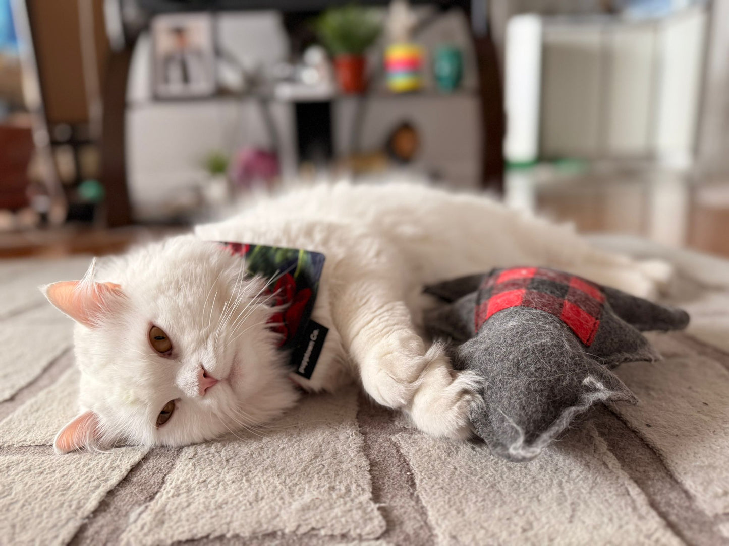 Holiday Blooms reversible Christmas Dog Bandana