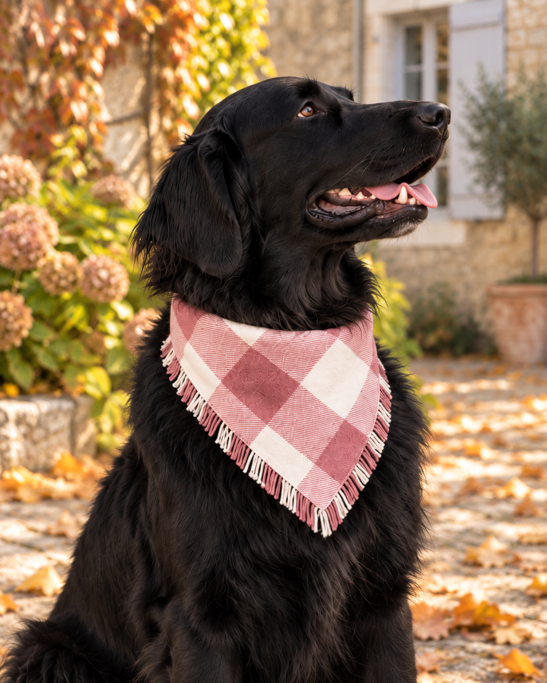 Close-up of a black dog wearing the Rosewood Check bandana, showing its pink-and-ivory checks and fringe.