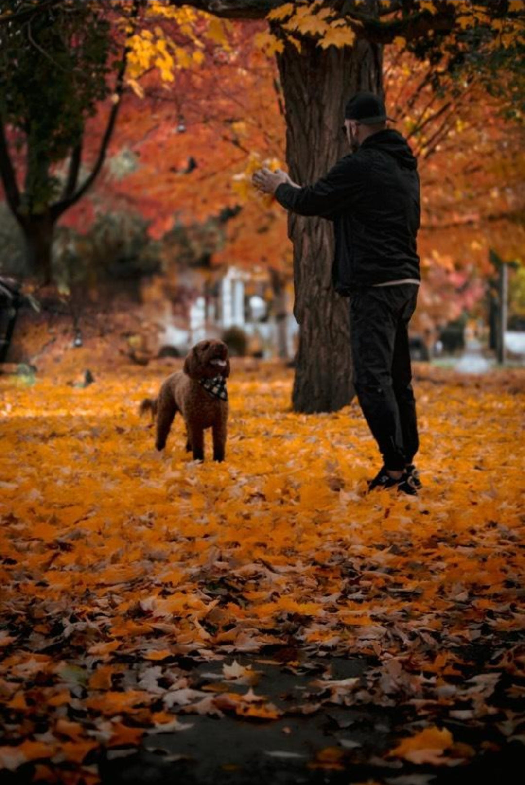 Black & White Flannel Buffalo Plaid Reversible Bandana (with snaps)