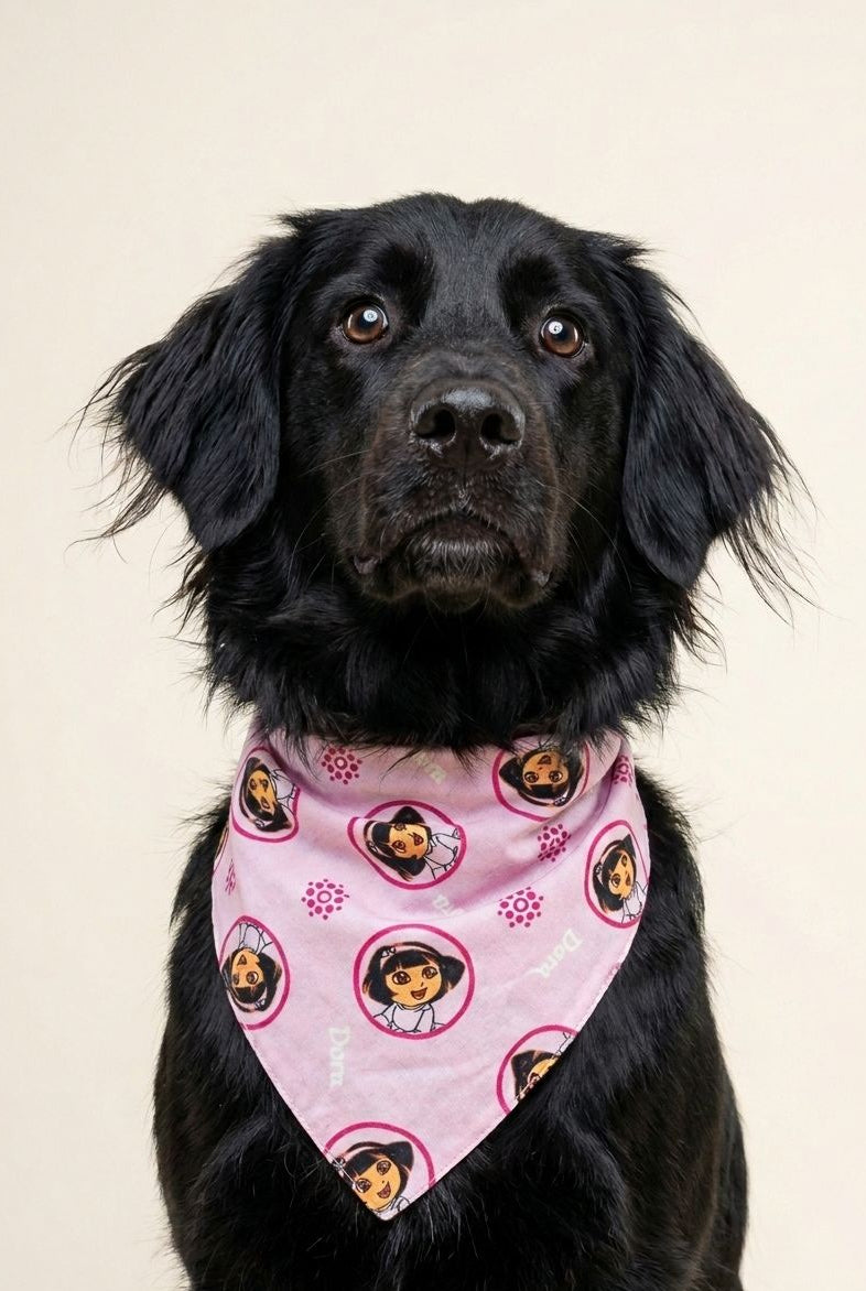 Pink Adventure Flannel Dog Bandana