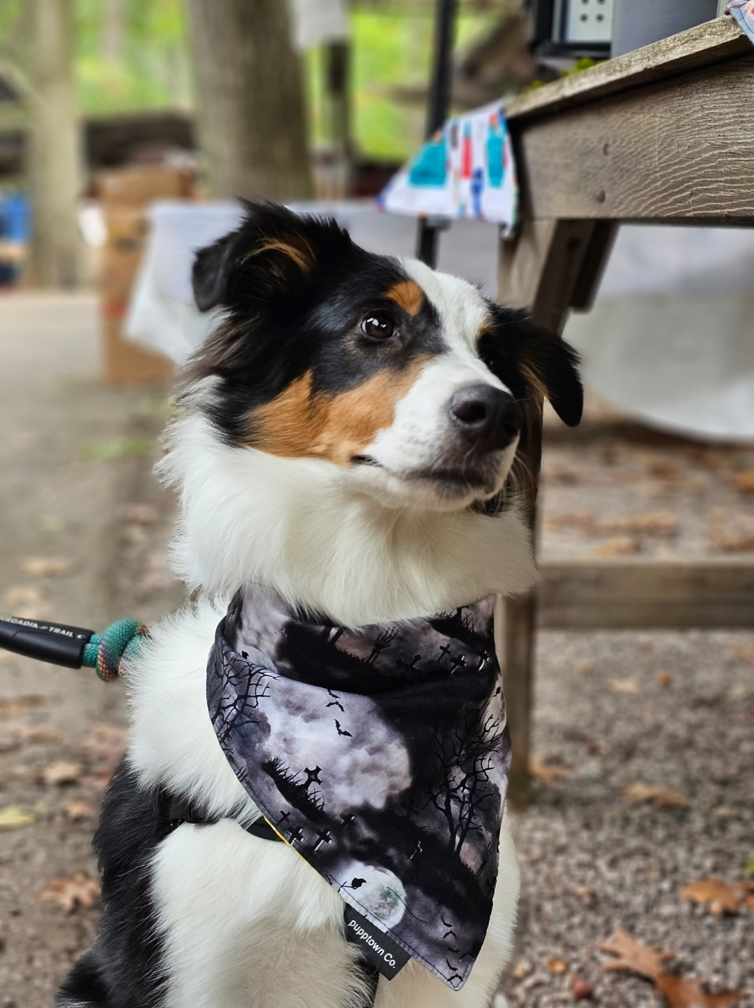 Scary Cemetry bandana with snaps
